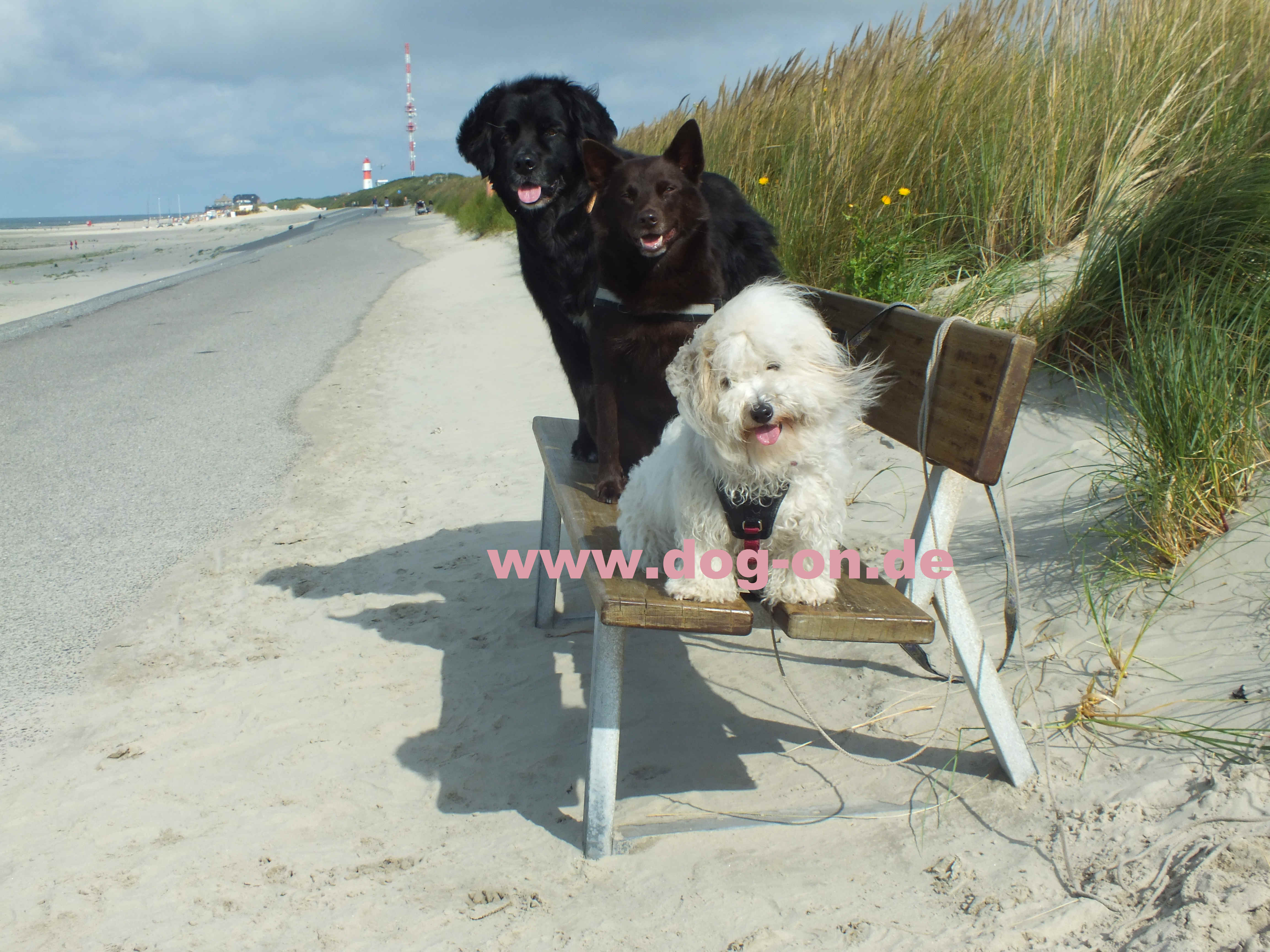 Am Strand, der elektrische Leuchtturm