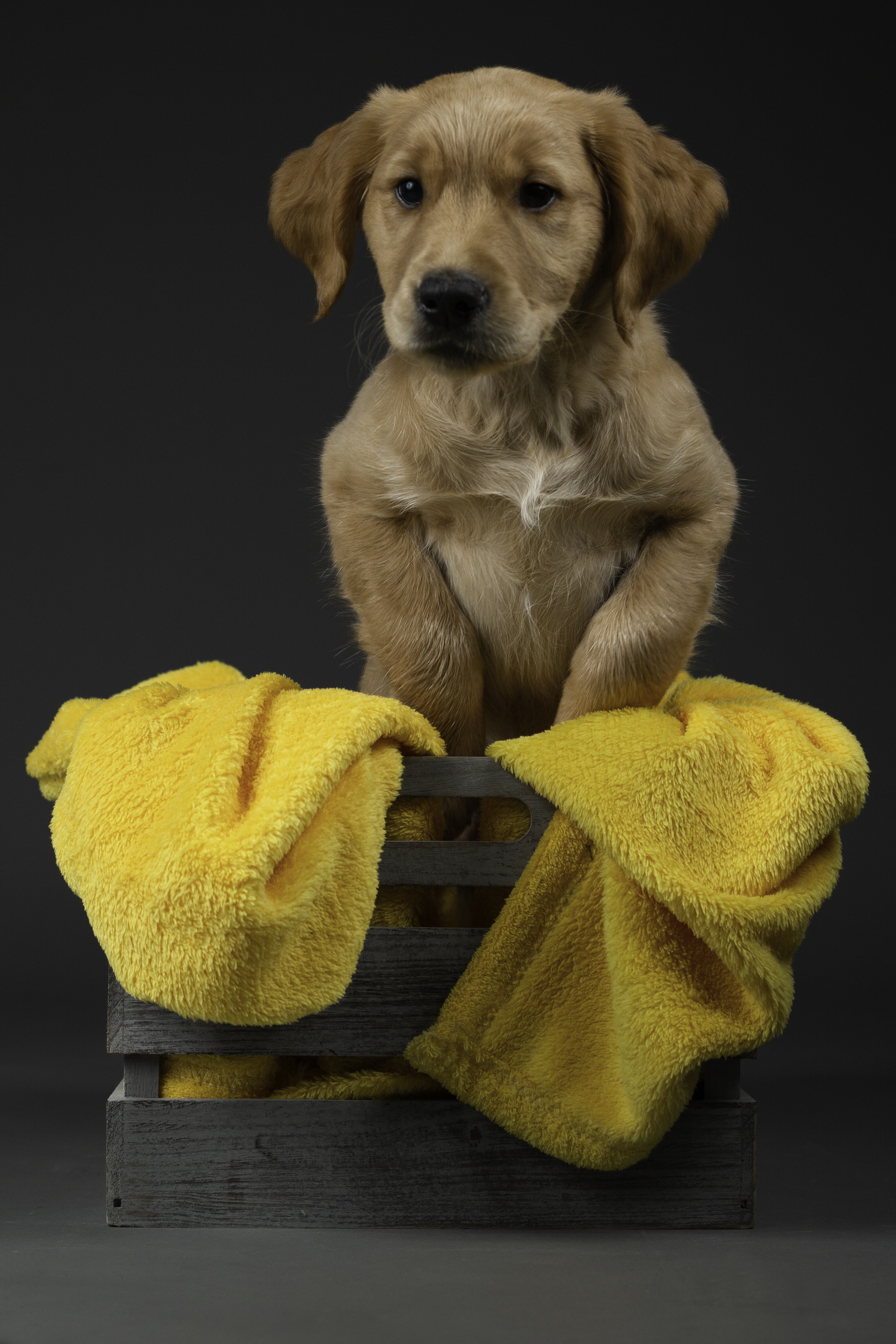 Doktor Stacy kurz nach seinem Einzug